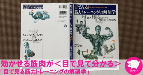 筋トレ 効かせたい筋肉を「意識する」のに役立つ本「目で見る筋力トレーニングの解剖学」