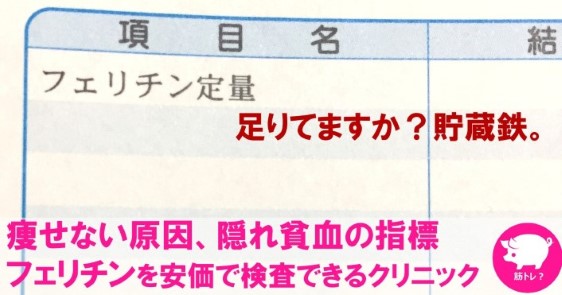 痩せない原因、隠れ貧血指標のフェリチンを1コインで検査できた！（東京）